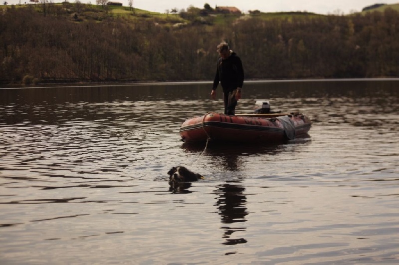 Erold black du Royaume de la Mesange